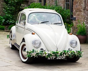 Polly Pootles wedding beetle